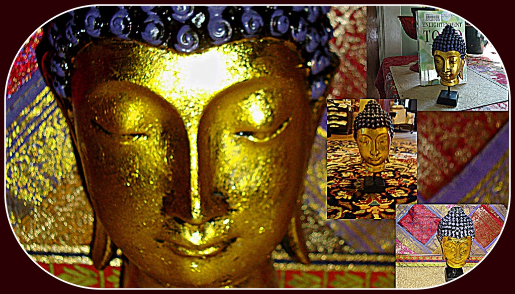 We are the same as plants, as trees, as other people, as the rain that falls. We consist of that which is around us, we are the same as everything.  ~ Buddha.