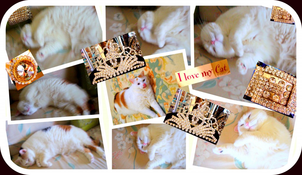 I Love My Cat (for blog)