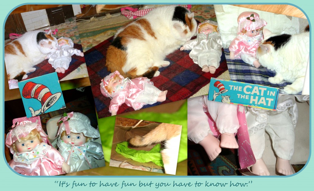 Cali smelling Cats with caption ( It&rsquo;s fun to have fun&mldr;&mldr;)