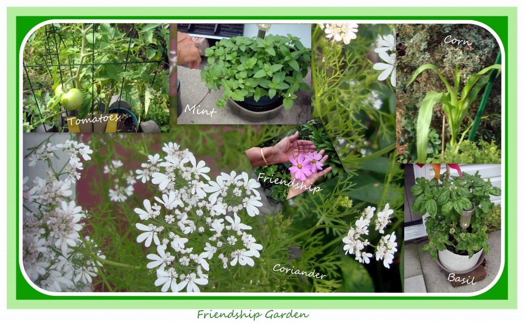  When a man sits down in front of a garden, or strolls around in it,  he steeps himself in delight.  Because the garden is a paradise  where a garden owner and a landscape gardener share the same dream in their common culture.  Man first made a garden to try to produce a paradise in this world.  The garden seems to be a paradise of the other world somewhere out of sight. - Masaaki Noda, Dialogue with a Garden  