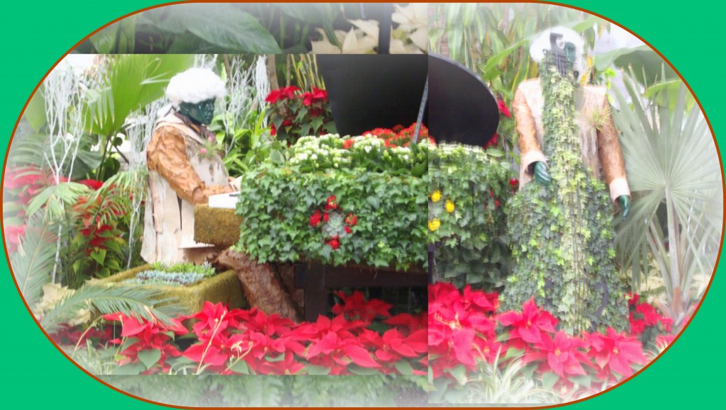 Allan Gardens Christmas Display (Blog 6)
