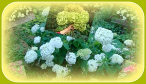 The best portion of a good man&rsquo;s life is his little, nameless, unremembered acts of kindness and of love. (William Wordsworth) 