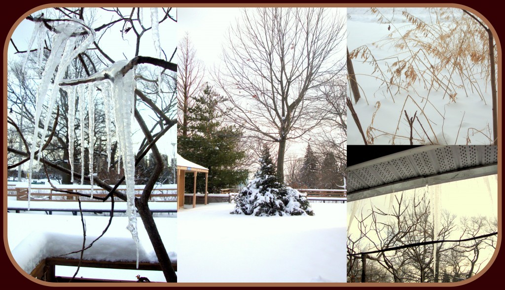 Winter blahs post collage (icicles)