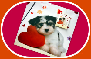 Valentine’s Day Dog